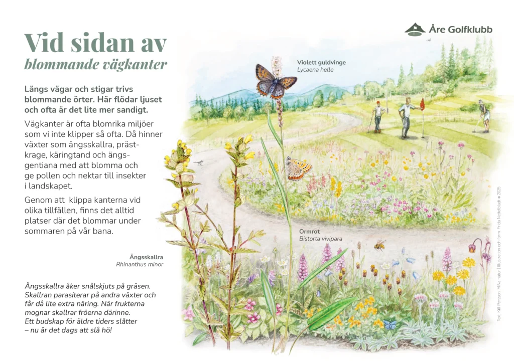 Tee 2 vid sidan av